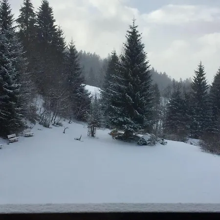 Apartman In Frauenberg Mit Garten Haidmühle