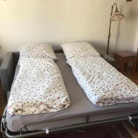 Apartman In Frauenberg Mit Garten Haidmühle